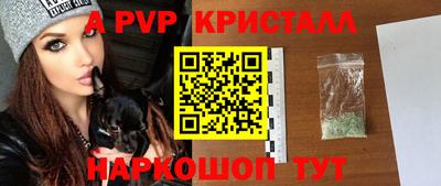 apvp Славгород