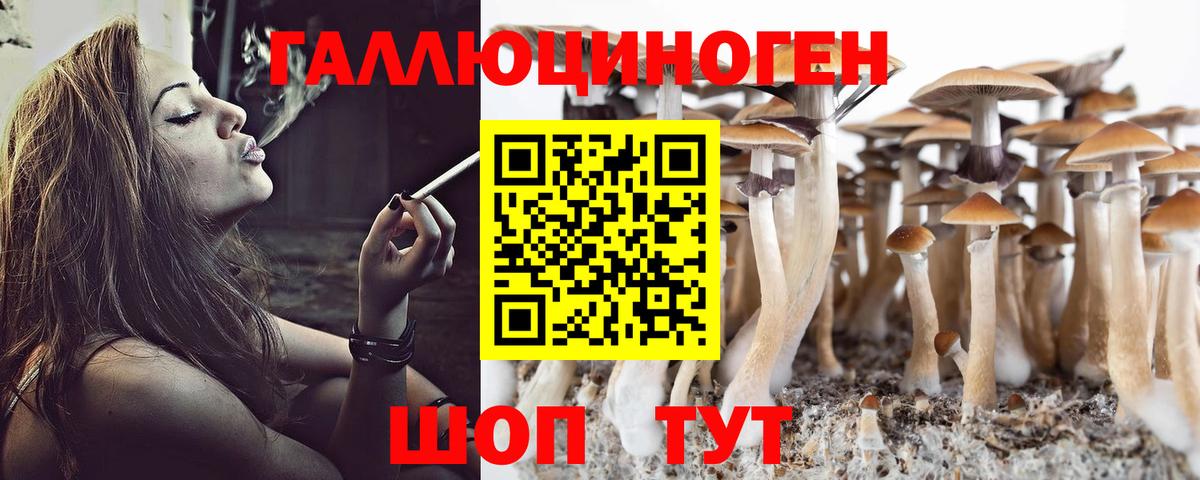 Псилоцибиновые грибы мухоморы  Вход с VPN  Приморско-Ахтарск 